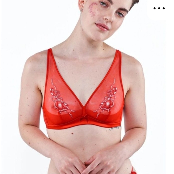 NWT Understance Sheer Plunge Bra With Embroidery in Goji Berry Red - Picture 14 of 16